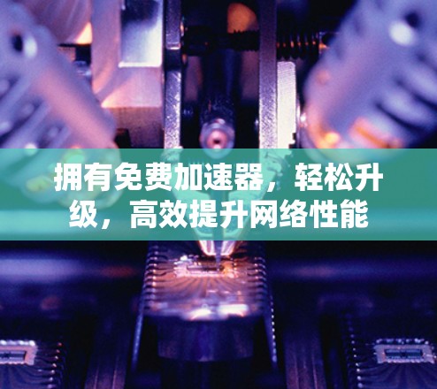 拥有免费加速器，轻松升级，高效提升网络性能
