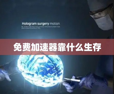 免费加速器靠什么生存 免费加速器靠什么生存