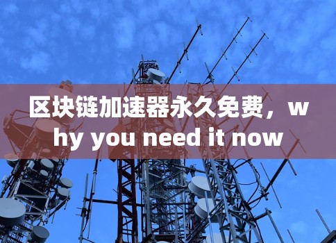 区块链加速器永久免费,why you need it now 区块链加速器永久免费,why you need it now