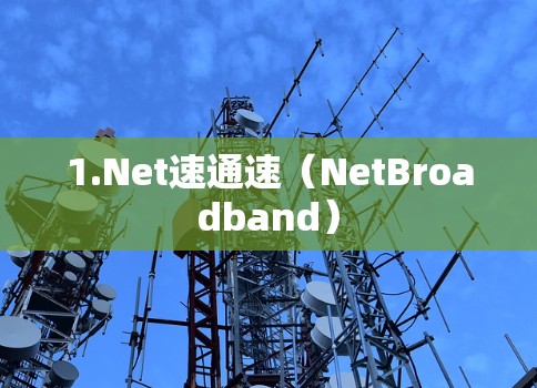 1.Net速通速(NetBroadband) 1.Net速通速(NetBroadband)