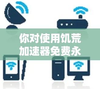 你对使用饥荒加速器免费永久版是否满意？以下是一些总结和建议，帮助你更好地选择适合自己的加速工具