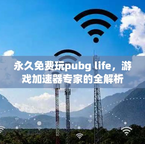 永久免费玩pubg life,游戏加速器专家的全解析 永久免费玩pubg life,游戏加速器专家的全解析