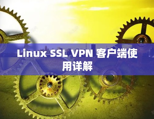 Linux SSL VPN 客户端使用详解 Linux SSL VPN 客户端使用详解