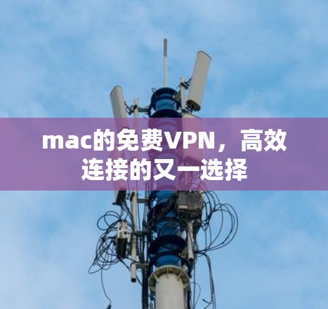 mac的免费VPN,高效连接的又一选择