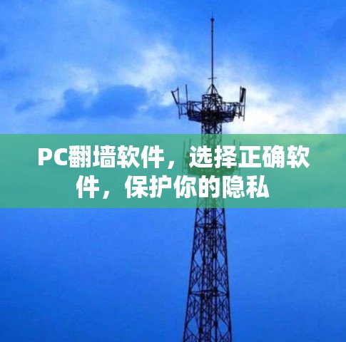 PC翻墙软件,选择正确软件,保护你的隐私