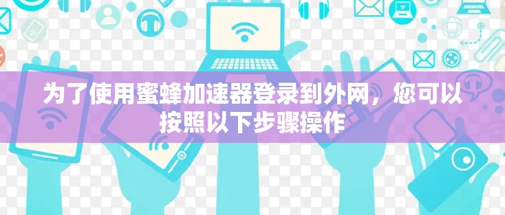 为了使用蜜蜂加速器登录到外网，您可以按照以下步骤操作