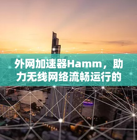 外网加速器Hamm,助力无线网络流畅运行的专业解决方案