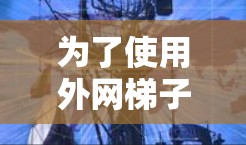 为了使用外网梯子解决问题,您可以按照以下步骤进行调整和尝试