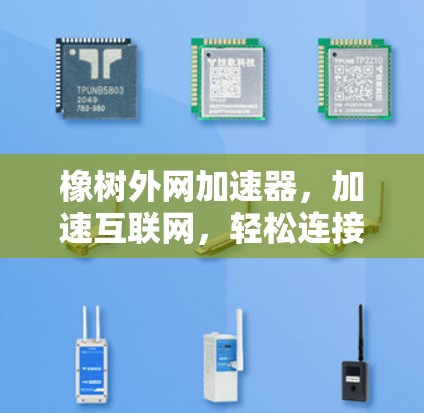 橡树外网加速器,加速互联网,轻松连接,助力生活新范式