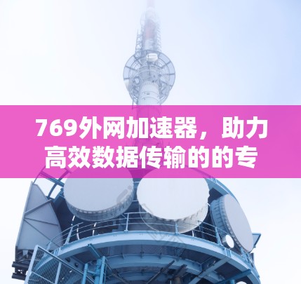 769外网加速器,助力高效数据传输的的专业解决方案