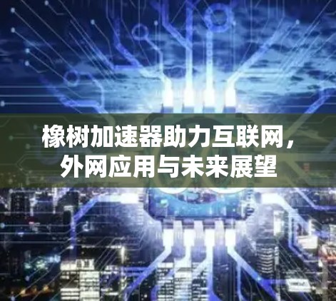 橡树加速器助力互联网，外网应用与未来展望