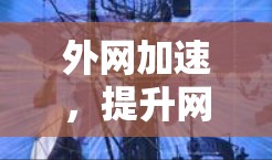 外网加速，提升网络性能的高效解决方案