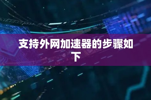 支持外网加速器的步骤如下