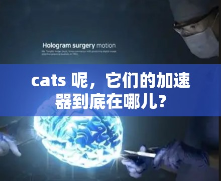 cats 呢，它们的加速器到底在哪儿？