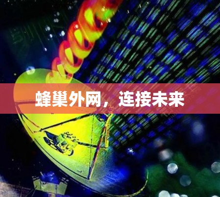 蜂巢外网，连接未来