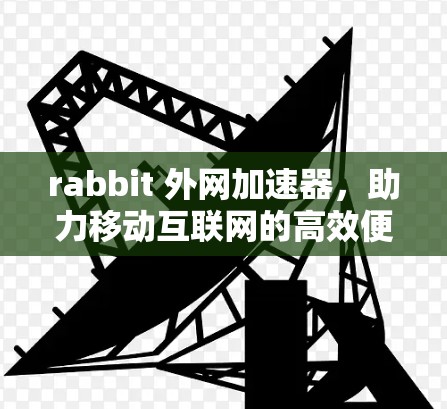 rabbit 外网加速器,助力移动互联网的高效便捷 rabbit 外网加速器,助力移动互联网的高效便捷