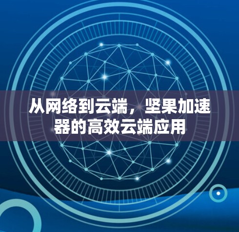 从网络到云端，坚果加速器的高效云端应用
