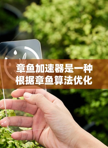 章鱼加速器是一种根据章鱼算法优化网页的速度工具，通常用于加速网站的加载速度。如果你正在寻找如何在外部服务器上使用章鱼加速器的指导，以下是一些建议