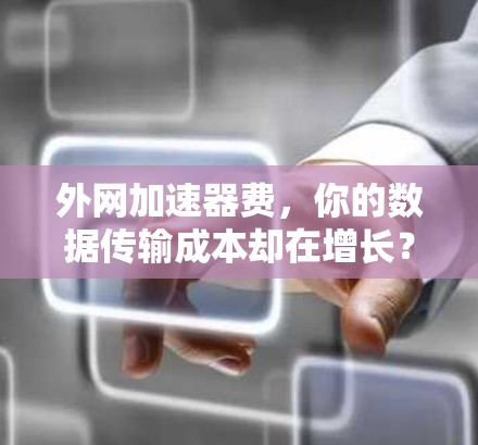 外网加速器费,你的数据传输成本却在增长?