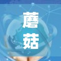 蘑菇外网加速器,技术革新,用户体验提升