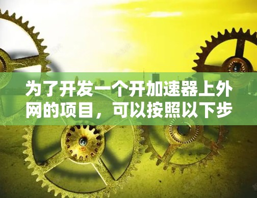 为了开发一个开加速器上外网的项目,可以按照以下步骤进行