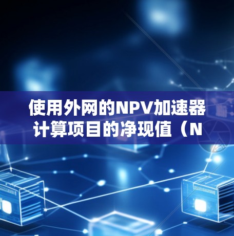 使用外网的NPV加速器计算项目的净现值（NPV）需要遵循以下步骤