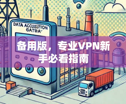 备用版,专业VPN新手必看指南