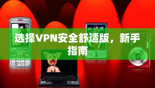 选择VPN安全舒适版,新手指南