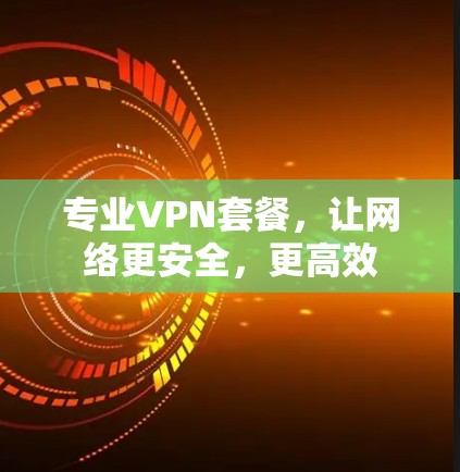 专业VPN套餐，让网络更安全，更高效