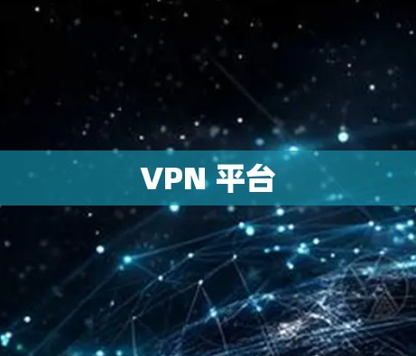 VPN 平台