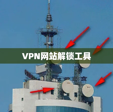 VPN网站解锁工具 VPN网站解锁工具