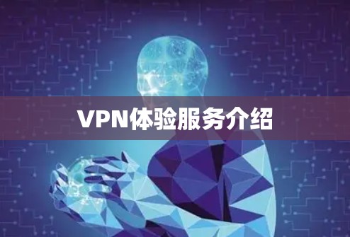 VPN体验服务介绍