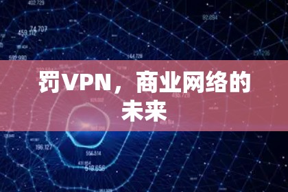 罚VPN,商业网络的未来 罚VPN,商业网络的未来