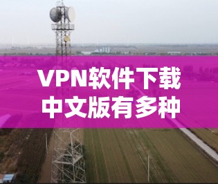 VPN软件下载中文版有多种选择,以下是几种常见的软件及其使用方法 VPN软件下载中文版有多种选择,以下是几种常见的软件及其使用方法