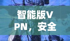 智能版VPN，安全第一，保护你的网络