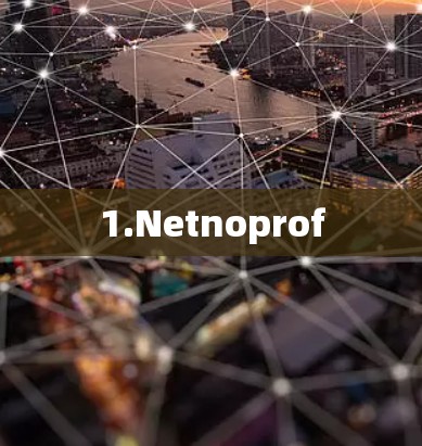 1.Netnoprof 1.Netnoprof