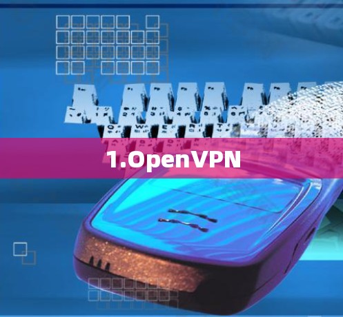 1.OpenVPN 1.OpenVPN