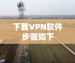 下载VPN软件步骤如下 下载VPN软件步骤如下