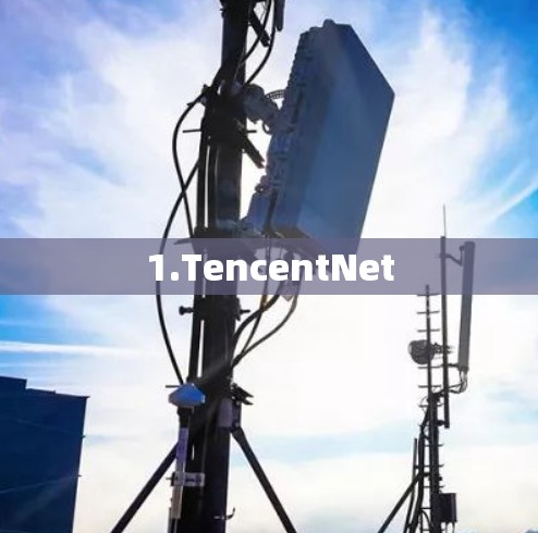 1.TencentNet 1.TencentNet