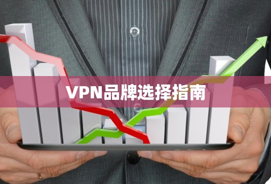 VPN品牌选择指南 VPN品牌选择指南