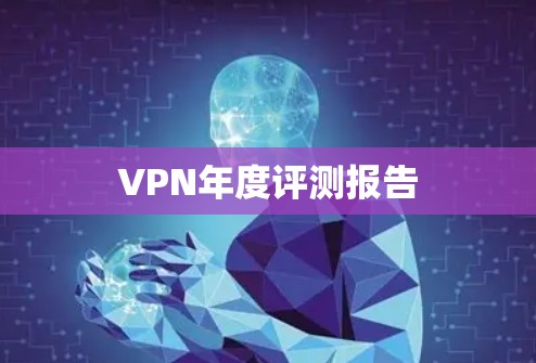 VPN年度评测报告 VPN年度评测报告