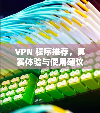 VPN 程序推荐,真实体验与使用建议 VPN 程序推荐,真实体验与使用建议