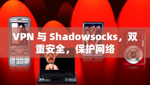 VPN 与 Shadowsocks，双重安全，保护网络
