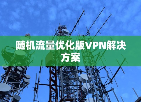 随机流量优化版VPN解决方案 随机流量优化版VPN解决方案