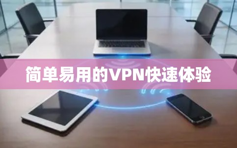 简单易用的VPN快速体验 简单易用的VPN快速体验
