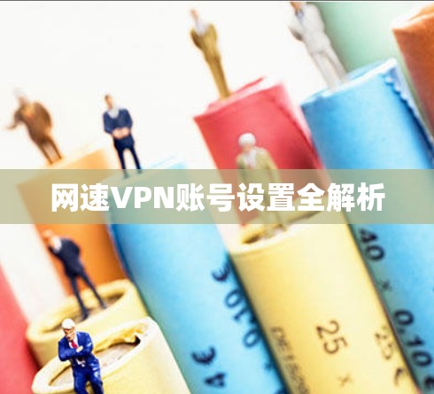 网速VPN账号设置全解析 网速VPN账号设置全解析