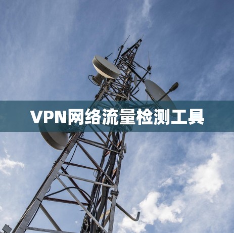 VPN网络流量检测工具 VPN网络流量检测工具