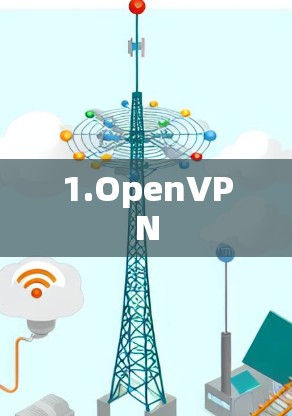 1.OpenVPN 1.OpenVPN