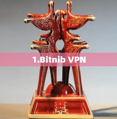 1.Bitnib VPN