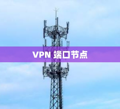 VPN 端口节点 VPN 端口节点
